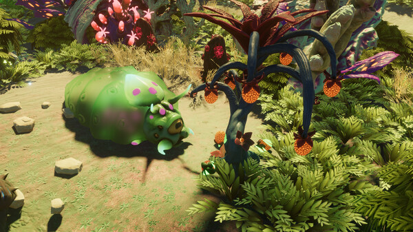 Space for Sale｜官方中文｜7.25G免安装