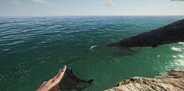 漂流计划｜Project Castaway｜官方中文-Build.16510054｜5.71G｜免安装