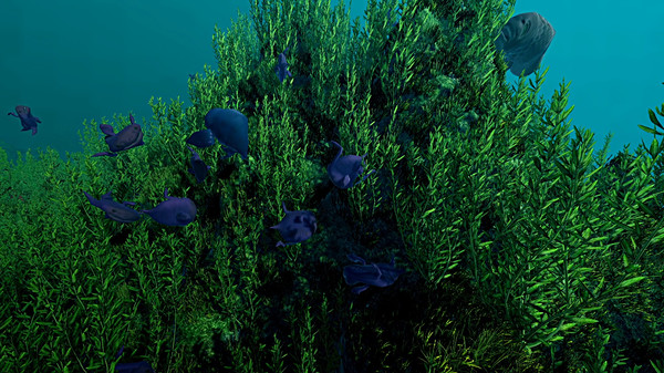 生态系统｜Ecosystem｜官方中文｜3.30G｜免安装