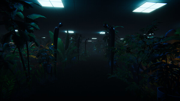 迷雾之舟｜Ship Of Mist｜官方中文｜7G｜免安装