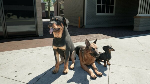 牧场模拟器｜Ranch Simulator｜官方中文-v1.162s｜20.5G｜免安装