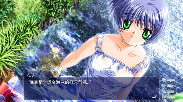 青空/鸟之诗｜AIR｜官方中文-v1.2.1.3｜2.55G｜免安装