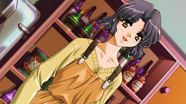 第七夜 ～无限轮回的终结～｜Never 7 The End of Infinity｜官方中文｜895M｜免安装