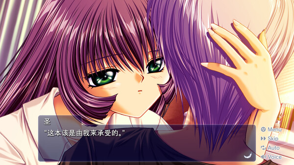 青空/鸟之诗｜AIR｜官方中文-v1.2.1.3｜2.55G｜免安装