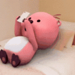 hb374140770的头像_果漫社区