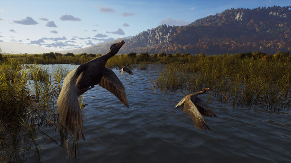 猎人之路｜Way of the Hunter｜官方中文-v1.27｜23.5G｜免安装