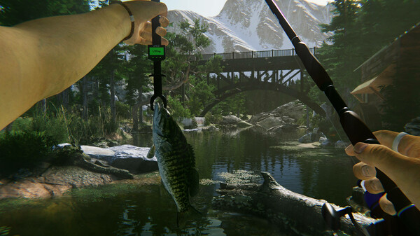 终极钓鱼模拟器2｜Ultimate Fishing Simulator 2｜官方中文-v1.25.06.16｜16.1G｜免安装