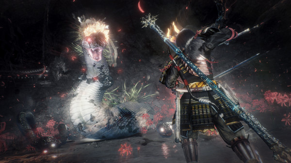 仁王２Complete Edition｜Nioh 2 The Complete Edition｜官方中文-v1.28.08｜76.4G｜免安装