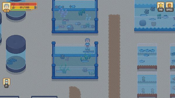 妮娜诺：梦之牧场｜Ninano Dream Ranch｜官方中文-Build.18362041｜830M｜免安装