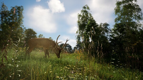 恐惧地带｜DREADZONE｜官方中文｜22.3G｜免安装