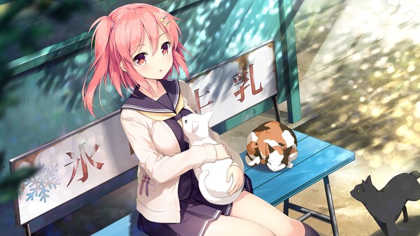 想要传达给你的爱恋｜Koi x Shin Ai Kanojo｜官方中文-Build.12782662｜8.07G｜免安装