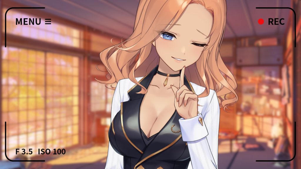 你的另一个老婆｜Your Another Wife｜官方中文｜146M｜免安装