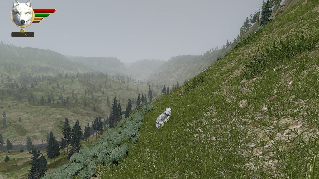 野狼谜踪｜WolfQuest: Anniversary Edition｜官方中文｜15.7G｜免安装