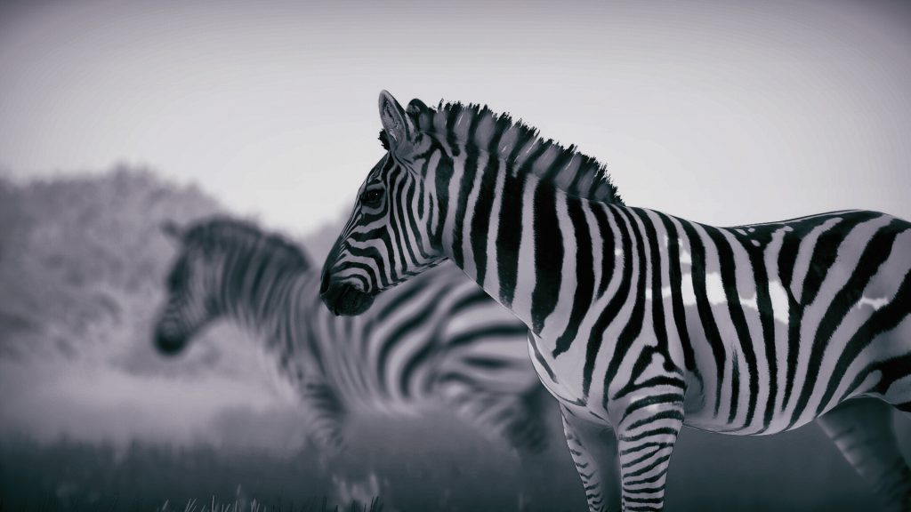 野生动物摄影师模拟器｜Seclusa｜官方中文｜3.52G｜免安装