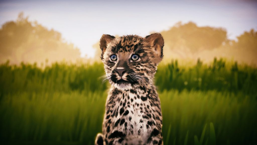 野生动物摄影师模拟器｜Seclusa｜官方中文｜3.52G｜免安装