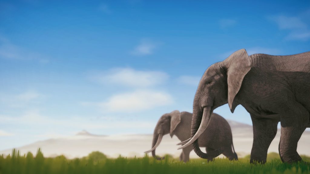 野生动物摄影师模拟器｜Seclusa｜官方中文｜3.52G｜免安装