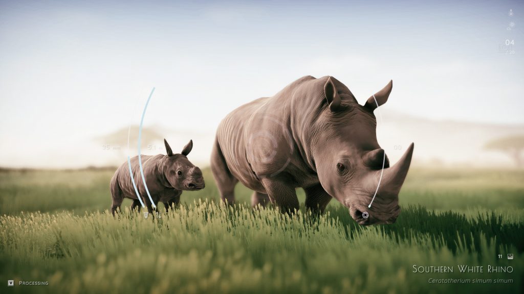 野生动物摄影师模拟器｜Seclusa｜官方中文｜3.52G｜免安装