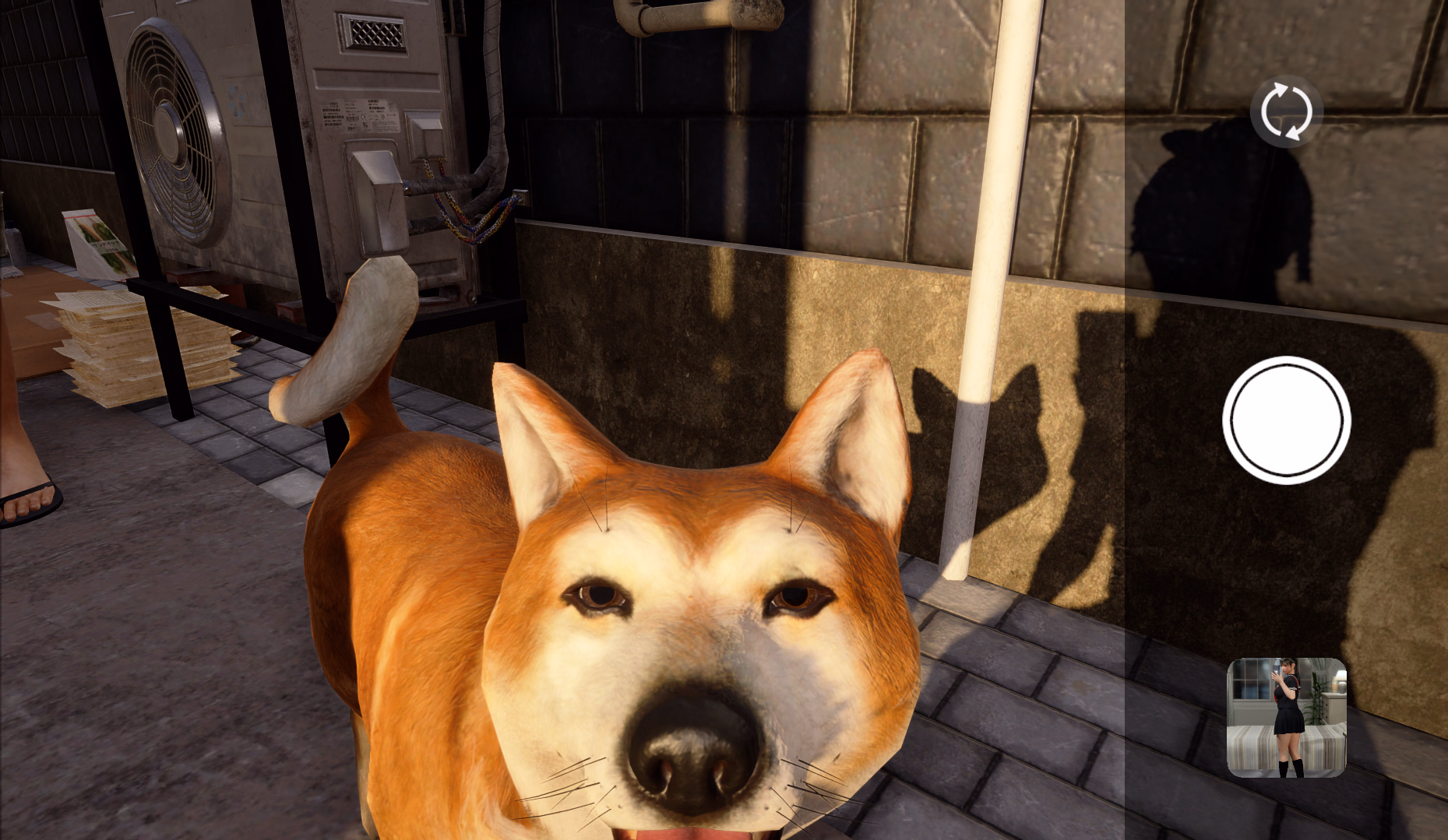 6004337_Screenshot_2026-04-29_163943